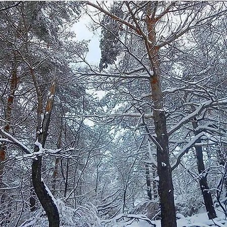 Дом отдыха A *