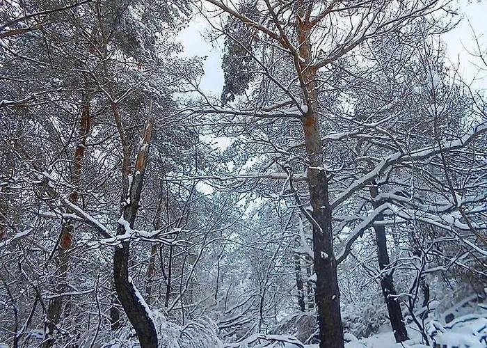 Σπίτι διακοπών A *